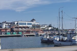 IMG_20220626_134408-1